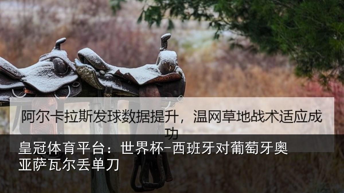 皇冠体育平台：世界杯-西班牙对葡萄牙奥亚萨瓦尔丢单刀