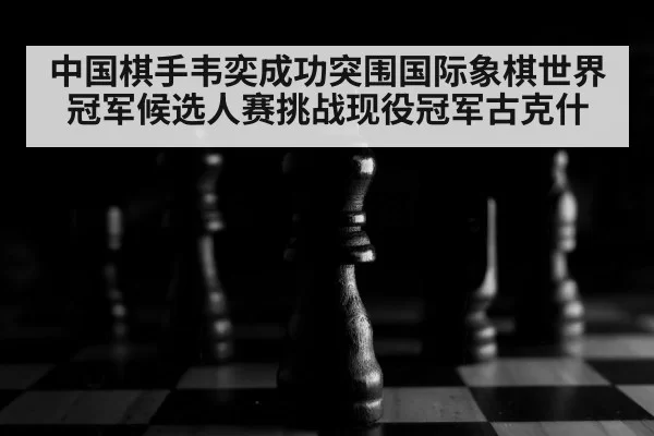 中国棋手韦奕成功突围国际象棋世界冠军候选人赛挑战现役冠军古克什