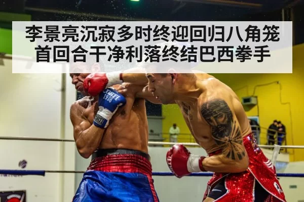 boxing punch knockout